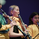 Blæsernes sommerkoncert